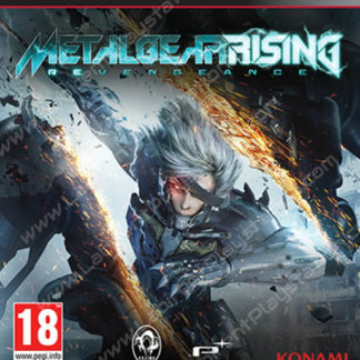 METAL GEAR RISING REVENGEANCE